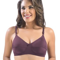 Sonari Pack of 3 Full-Coverage Bras image 3