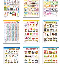 Early Learning Educational 12 Charts for kids Perfect for Preschool, Homeschooling and Nursery Student-19