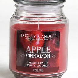 Hosley Apple Cinnamon Fragrance Jar Candle - 1120 g-9
