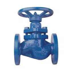 Leader CCS 012 Cast Carbon Steel L Glandless Piston Valve 80 mm PN - 40-image-70