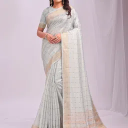Astita Checked Zari Organza Saree-40