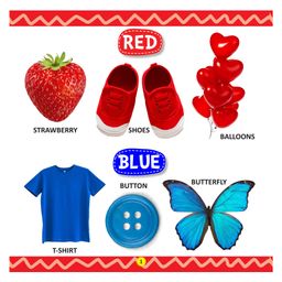 junior diamond My First Library Colours and Shapes : Early Learning Book for Kids image 3