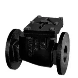 Zoloto 100 mm PN1.0Cast Iron Flanged Ends Non Return Valve 1083B-picture-31