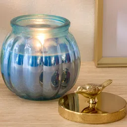 Home Centre Blue & Gold-Toned 1 pieces Jar Candle-image-71