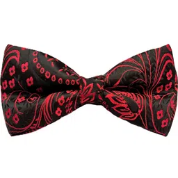 Designer Paisley & Self Design Bow-image-82