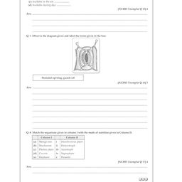 oswaal books Oswaal One For All Question Bank + One For All Workbook (NCERT & CBSE) Class 7 Science (Set of 2 Books) | Updated As Per NCF For Latest Exam image 4