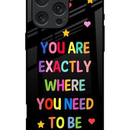 QRIOH Typography Printed iPhone 16 Pro Max Back Case Mobile Accessories-3