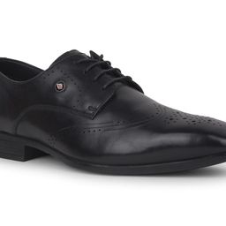 Lee Cooper Men Black Formal Shoes-image-62