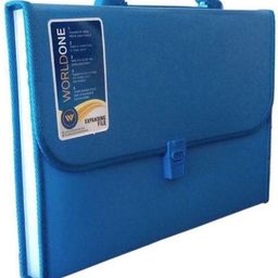Classic File Folders-10