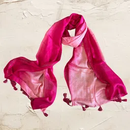 Dupatta Bazaar Women Ombre Tasselled Stole-10