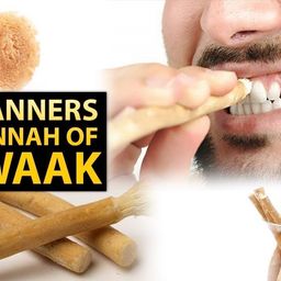 generic Al Asr natural herbal miswak stick ideal for evryone (pack of 10) image 2
