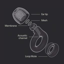 NIKZOL High-Fidelity Ear Plugs for Noise Reduction – Reusable Silicone Earplugs for Concerts, Festivals, DJs, Sleeping, Travel & Studying – 17dB Hearing Protection with Mute Filter – 6 Tips (S/M/L), Black image 2