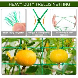 ecofynd Garden Trellis Netting for Climbing Plants Outdoor, 6x3 ft Plant Creeper Net for Cucumber, Tomato, Supporting Net with 4x4 Inch Mesh as Agriculture Vegetable Fruit for Grape, Bean (Pack of 1) image 2