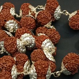 retrend design Gauri Shankar Rudraksha Mala Original Certified By Igl Lab Best Collection Naturally Joint Shiv Parvati Ardhnarishwar Pure Nepal Beads With Silver Cap Gowrishankar Rudraksha गोरी शंकर image 4