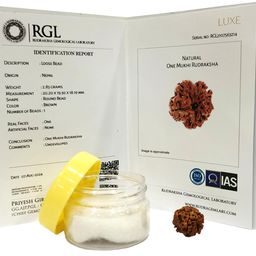SHIVARATNA 1 Mukhi Rudraksha Nepal Origin (Round Shape) Comes with ISO Marked Lab Certificate image 2