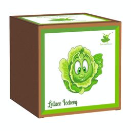 Sow and Grow DIY Seed Starter Gardening Grow Kit of Lettuce Iceberg for Home and Garden Grow it Yourself Kit | Best Eco Friendly Kids Birthday Return Gift image 1