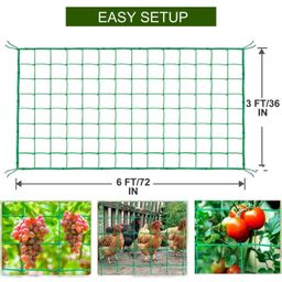 ecofynd Garden Trellis Netting for Climbing Plants Outdoor, 6x3 ft Plant Creeper Net for Cucumber, Tomato, Supporting Net with 4x4 Inch Mesh as Agriculture Vegetable Fruit for Grape, Bean (Pack of 1) image 4