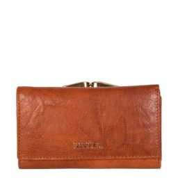 SASSORA Brown Solid Rfid Tri-Fold Wallet for Women-image-40