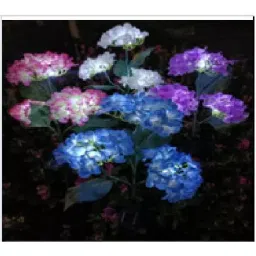GIGAWATTS 3 Hydrangeas Flower Shape Design Solar Powered LED Garden Decor Lamp, GW-ME3034-18