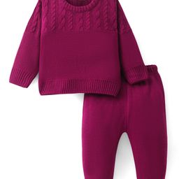 Doodle Poodle Knitted Full Sleeves Sweater Set with Cable Knit Design - Wine-image-75