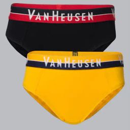 Van Heusen Boys Anti Bacterial And Colour Fresh Solid Briefs - Pack of 2 - Pure Black , Gold Fusion-13