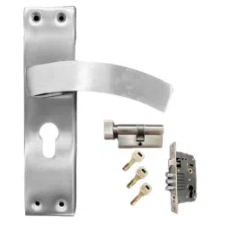 Cozi Gold 240x180x65 mm Stainless Steel and Brass Zinc Finish Mortise Door Handle 11005-CY-SS-image-78