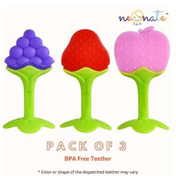 Neonate Care Baby Teether Fruit Shape Set of 3-9