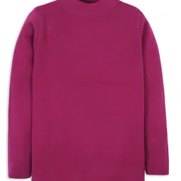 RVK Full Sleeves Solid Stretchable Skivvy Pullover Sweater - New Wine-picture-36