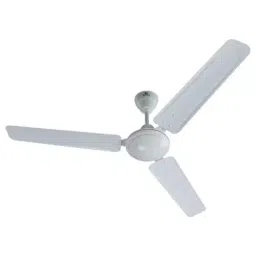 Bajaj Frore White 1200 mm Ceiling Fan 251162-image-36