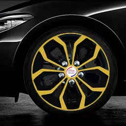 Auto Pearl Co01 14 in 35.56 cm (14 Inch) ch PPress Type Wheel Cap Hubcap with Retention Ring Glossy Golden Wheel Cover for Maruti S-PPresso Lxi (Set of 4)-image-27