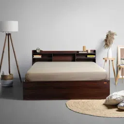 Sleepyhead ES Dark Brown Engineered Wood King Size Bed with Box Storage-image-55