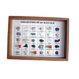 BEXCO 30 Rocks Collection Kit in Wooden Glass Front Showcase, DK-391Q-AX4N-39