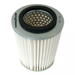 Goodyear Air Filter GYF-1125 For Maruti Van, Gypsy-picture-47