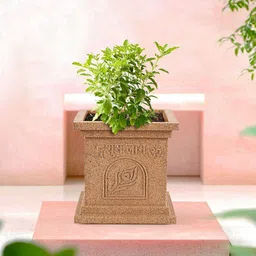 Kuber Industries Beige Tulsi Mancha Gamla Planter-33
