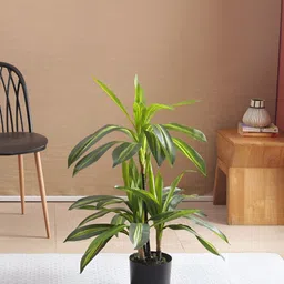 ARICK DECOR Green 1 Pieces Dracaena Artificial Plant With Pot-image-30