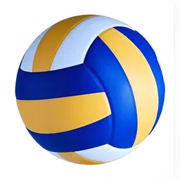 HackerX Textured High-Quality Volleyball-11
