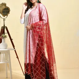 swatika Checked Embroidered Sequinned Net Dupatta image 4