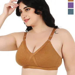 Designer Bugs Zan Pack Of 3 Women Cotton Full Coverage T-shirt Bra-picture-19