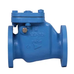 Leader 20 Inch, 500 mm Cast Iron Reflux Valve CI 021-image-18