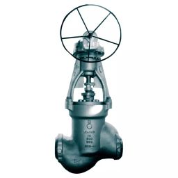 Leader CCS041P Cast Carbon Steel P Globe Valve 150 mm Class - 900-image-38