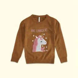 Pantaloons Junior Brown Embroidered Full Sleeves Sweater-picture-24