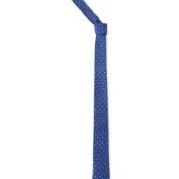 Allen Solly Navy Printed Formal Tie-picture-32