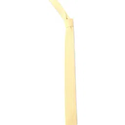 Allen Solly Yellow Textured Formal Tie-image-87