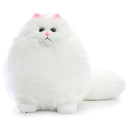 Kidology Fluffy Cat PlushAdorably Chubby & Cuddly Companion - Height 27 cm-image-75