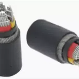 KEI 300 Sq.mm 2 Core Aluminium Conductor Unarmoured LT Power Cable A2XY-image-51