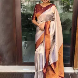 Visit Wear Woven Design Zari Pure Silk Banarasi Saree-picture-10