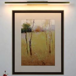 FOS LIGHTING Modern Gold Aluminium LED Picture Vanity Light-65