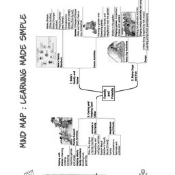 oswaal books Oswaal Ncert Workbook Class 3rd Environmental Studies (Our Wondrous World) image 3