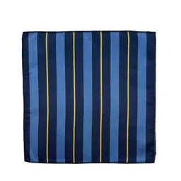 The Tie Hub Striped Microfiber Pocket Squares-picture-28