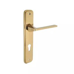 Dorset Cinzia Mortise Door Handle Full Gold Finish Type, CNZ 10 FG-picture-27